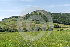 Summer landscape near Bagno di Romagna, in the Appennino