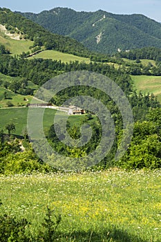 Summer landscape near Bagno di Romagna, in the Appennino