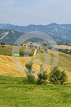 Summer landscape near Bagno di Romagna, in the Appennino