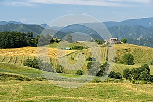 Summer landscape near Bagno di Romagna, in the Appennino