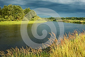 Summer landscape near the Berezina river