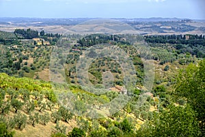 Summer landscape near Volterra, Tuscany