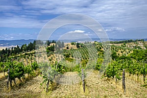 Summer landscape near Volterra, Tuscany