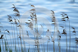 Landscape near water