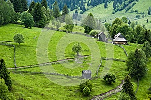 Summer Landscape in North of Romania