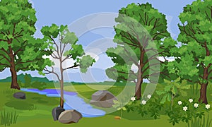 Summer landscape with oak forest and blue pond