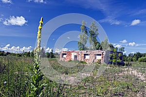 Summer landscape with old farm ruins