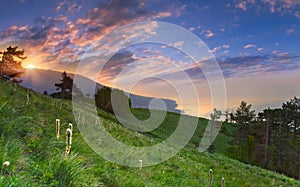 Summer landscape over the sea