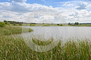 Summer landscape with overgrown reeds lake, fields, forests and blue sky