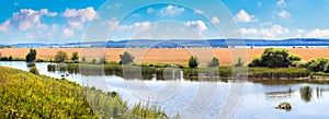 Summer landscape, panorama, with river, wheat field and clear blue sky with white clouds