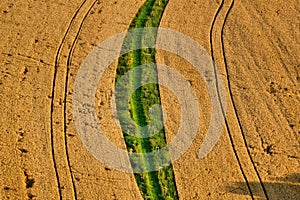 Summer landscape with a path in a field from above