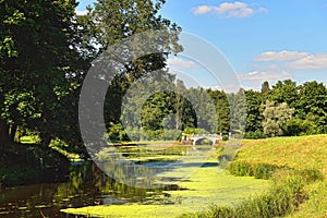 Summer landscape of the Pavlovsk garden. Visconti Bridge