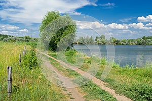 Summer landscape - peaceful place beside lake.