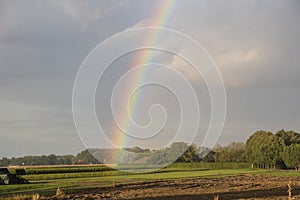 Summer landscape with rainbow, sky and corn fields. Pan