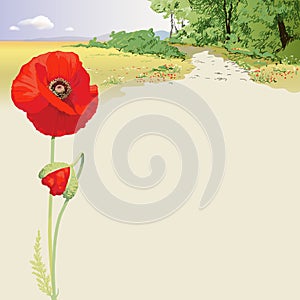 Summer landscape with red poppies