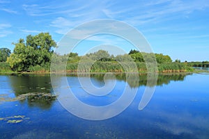 Summer landscape with the river