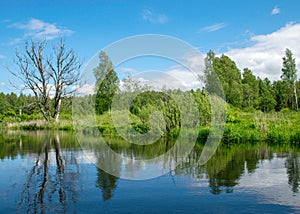 Summer landscape from the river, cloud reflections in the water, green trees and grass on the river banks, Sedas River, Latvia