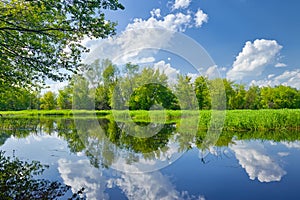 Summer landscape river clouds blue sky green trees pond