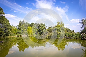 Summer landscape at the River Havel