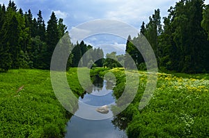 Summer landscape with river in the park of Pavlovsk