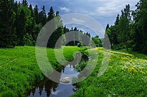 Summer landscape with river in the park of Pavlovsk photo