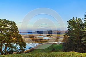 Summer landscape with river and trees