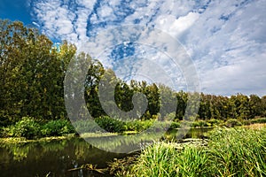 Summer landscape with a river. Western Siberia