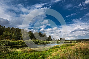 Summer landscape with a river. Western Siberia