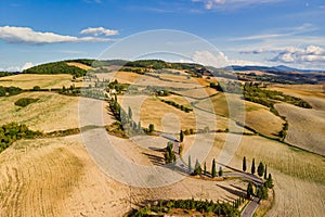 Summer Landscape with Road and Golden Fields in Tuscany