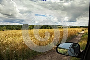 summer landscape with road and meadows