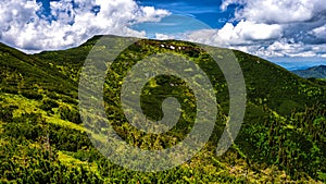 Summer landscape of Rodna Rodnei mountains, Carpathians, Romania