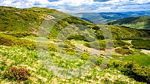 Summer landscape of Rodna Rodnei mountains, Carpathians, Romania