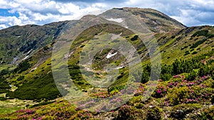 Summer landscape of Rodna Rodnei mountains, Carpathians, Romania