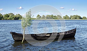 Summer landscape. Rowing boat - Danube Delta, landmark attraction in Romania. Danube River