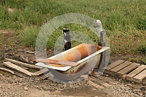 Summer landscape of Sakhalin island. Toned