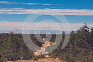 Summer landscape of Sakhalin island. Toned