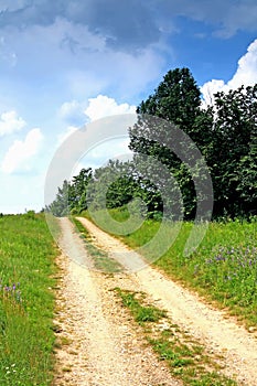 Verano de el único carreteras a árboles 