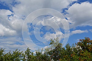 Summer landscape. Sky with clouds and tree tops. Garden in warm sunny day