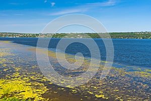 Summer landscape with slimy Dnipro riverside, Ukraine