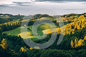 Summer Landscape in Southern Styria