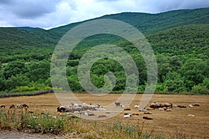 Summer landscape from the southern Talysh region of Azerbaijan