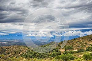 Summer landscape. Spain, Catalonia, Costa Brava