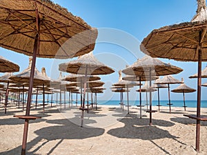 Summer landscape with straw umbrellas on the beach in Mangalia or Mamaia. Beach at the Black Sea in Romania