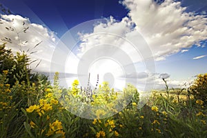 Estate il sole raggi nuvole cielo blu un fiori 