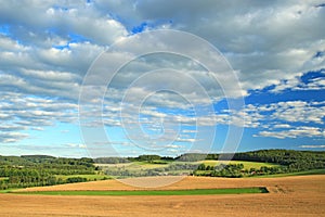 Summer landscape in sunny day. Rural countryside.