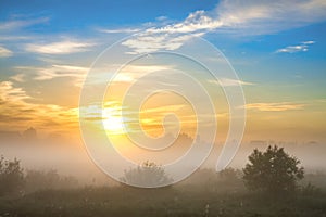 Summer landscape with sunrise and fog