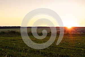 Summer Landscape With Sunrise / Sunset On Agricultural Field