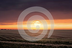 Summer landscape: sunset in the field, dark clouds at the top_