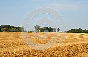 Summer landscape in swabian alb with harvested field