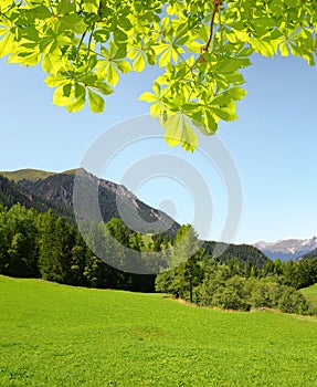 Summer landscape in Switzerland Alps - canton Graubunden photo